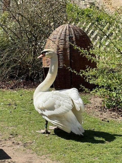 Natural Wonders of the Loire Valley
