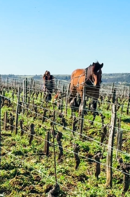 Natural Wonders of the Loire Valley