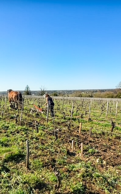 Natural Wonders of the Loire Valley